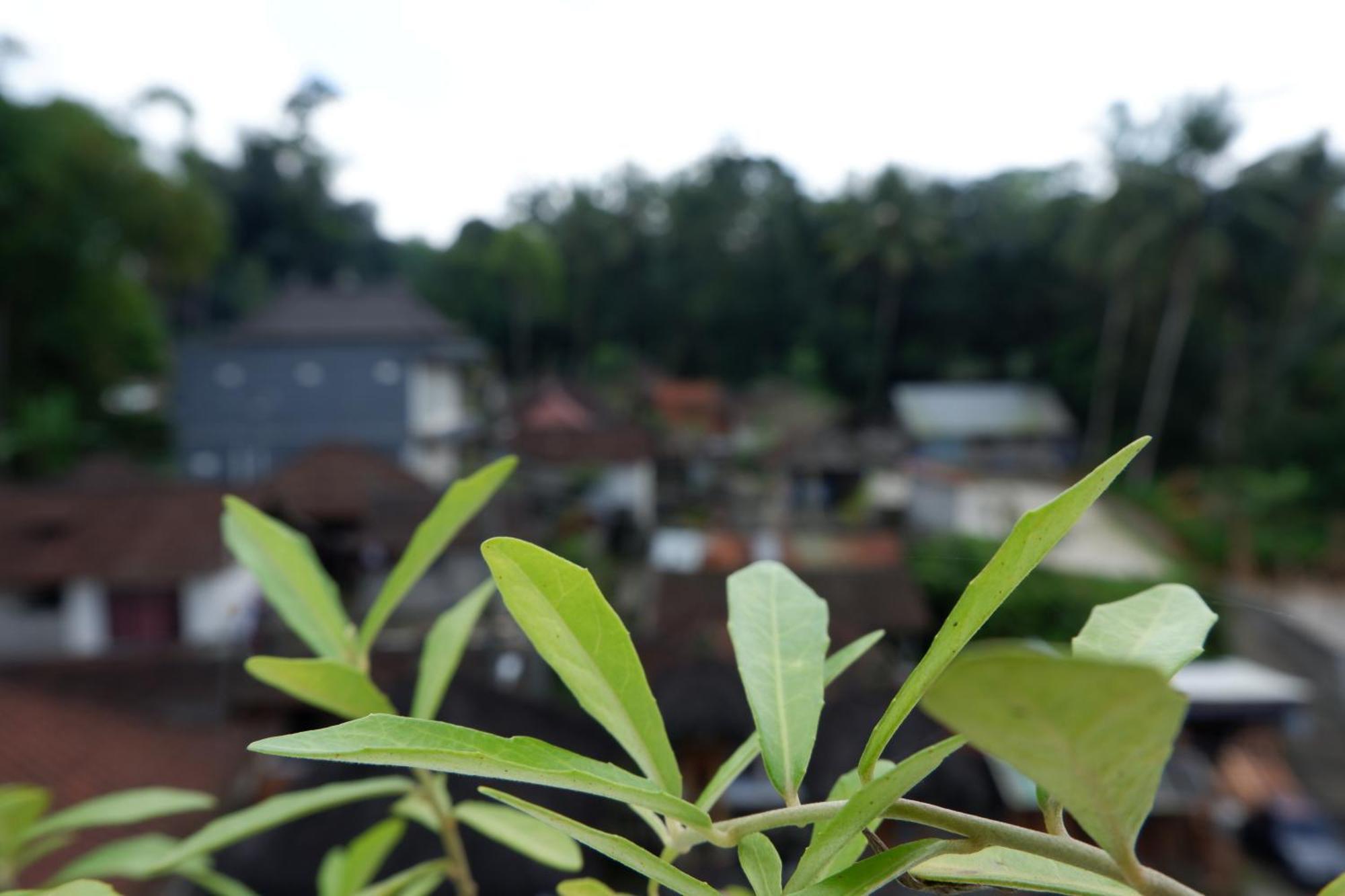Ramaya Ubud View By Eps Exteriér fotografie