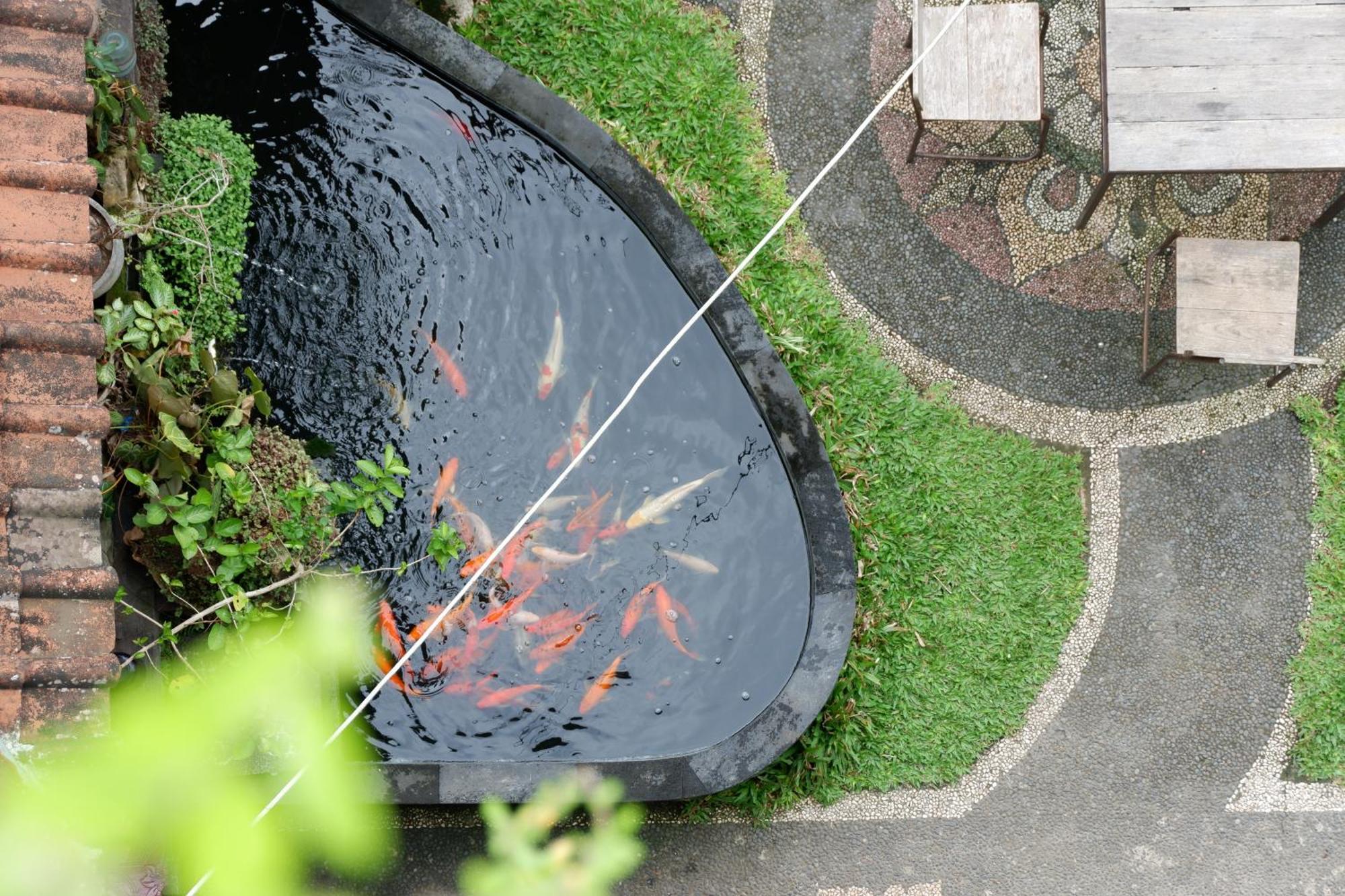 Ramaya Ubud View By Eps Exteriér fotografie